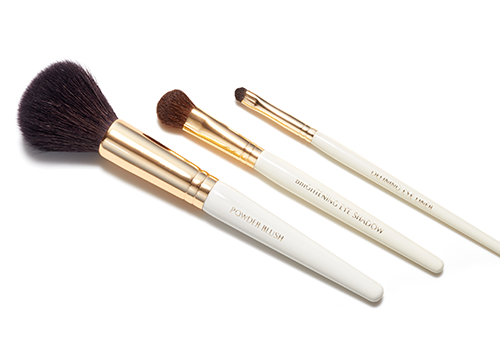 ESSENTIAL BRUSH COLLECTION